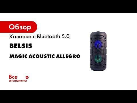 Портативная акустическая система со светомузыкой Magic Acoustic allegro BK1001