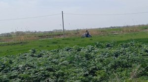 Самодельный электромотоцикл.