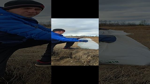 Идея для заработка ?