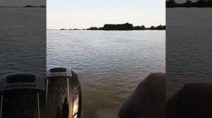 Клёв жереха в июле около с.Маково Володарский р-н