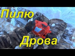 Пилю дрова Китайской копией Husqvarna 365. Весенние морозы. Первичные настройки бензопилы. Провинция