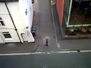 Как неожиданно точно вышло