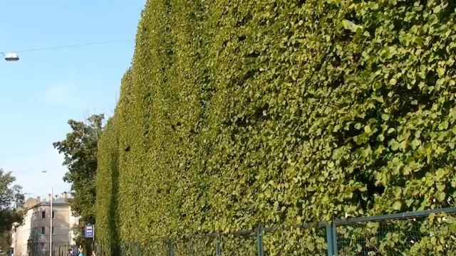 левый берег Даугавы....уютнее смотреть онлайн