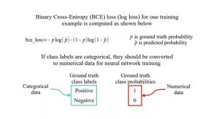 Binary Cross-Entropy Loss