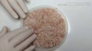 Бургер с куриной котлетой ( несложный рецепт )