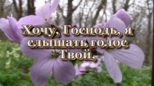 Тебе я поклоняюсь (Христианские песни с текстом)