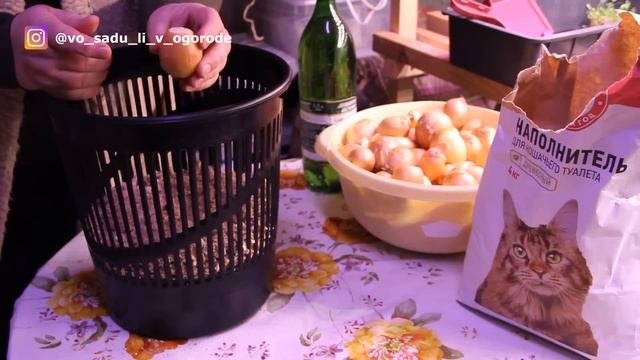 Целая Грядка Лука В Одном Ведре. Лук На Зелень.