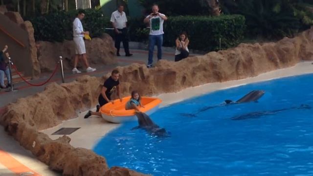 Дельфин катает девочку - 2 часть, "Loro Park", Тенерифе, 24.11.2013 смотреть онлайн