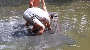 صيد السمك باليد شي عجيب !!! طلعتلنا افعى ? | Ловлю рыбу руками