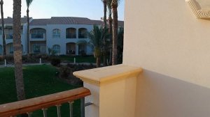Утро в Reef Oasis Blue Bay resort&spa 5*, Египет, Шарм-эль-Шейх