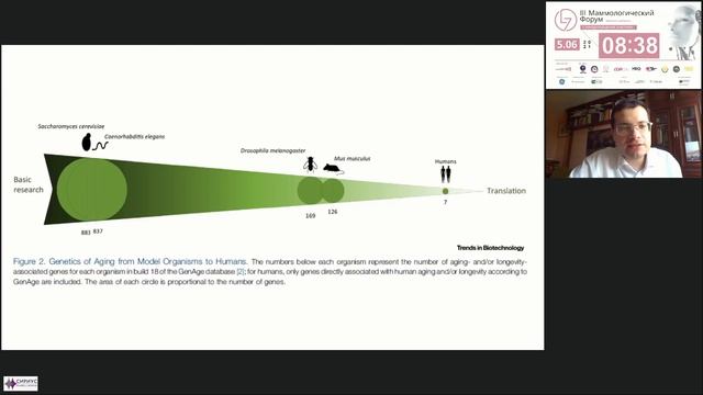 Научные основы активного долголетия. Ашихмин Ярослав Игоревич смотреть онлайн