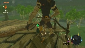 СТРОЮ, ЕЗЖУ, ЛЕТАЮ The Legend of Zelda Tears of the Kingdom