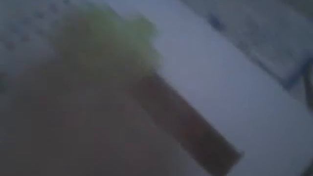 Показываю комод и игрушки смотреть онлайн