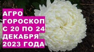 Агрогороскоп с 20 по 24 декабря 2023 года Agrohoroscope from December 20 to 24, 2023