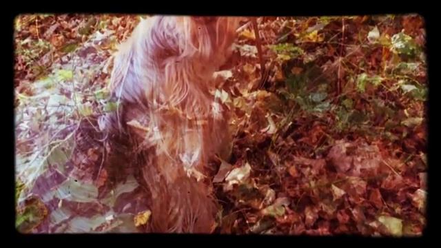 Мини фото альбом смотреть онлайн