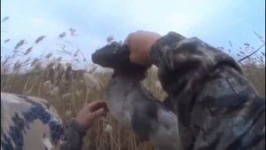 Охота на гусей в Оренбургской области, Светлинский район