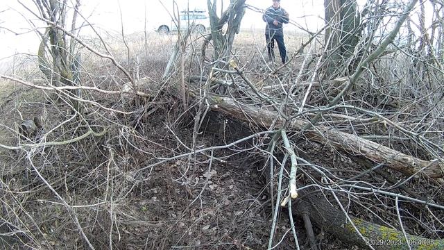 Беседа просто так ни о чем! смотреть онлайн