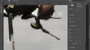 Tools in photoshop #1: marquee tools, quick selection, refine edge, patch, clone tool