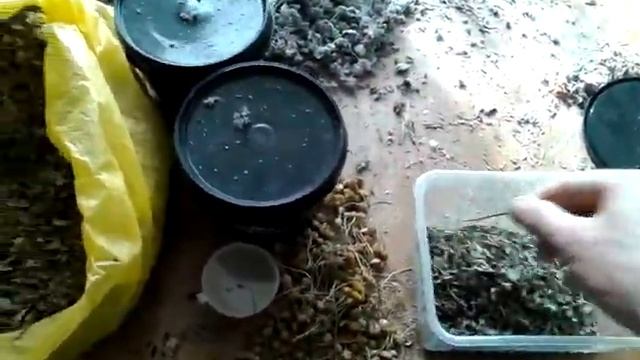 Рецепт травяного чая смотреть онлайн