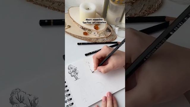 Туториал: Как нарисовать дерево?Иллюстрация карандашом. Художник самоучка - урок рисования смотреть онлайн