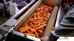 Машина мойки и очистки овощей