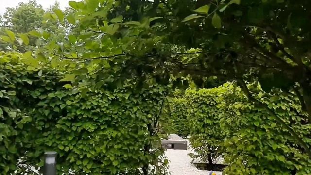 Москва. ВДНХ. Прогулка по Зеленому лабиринту