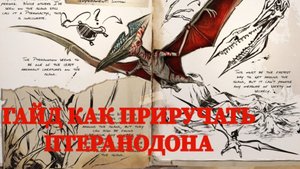ГАЙД 
КАК ПРИРУЧИТЬ ПТЕРАНОДОНА | ARK MOBILE