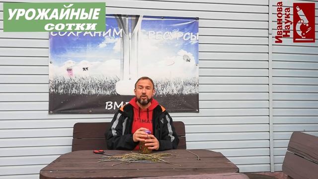 Вместо покупного! Ивовый эликсир для ваших черенков, саженцев и рассады. смотреть онлайн