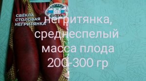 Семена свеклы и моркови