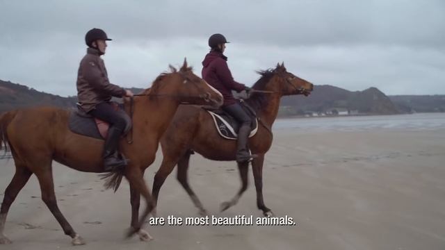 Hermès | Story of an exceptional saddle-maker at Hermès смотреть онлайн