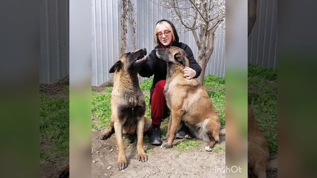 Девчонки.