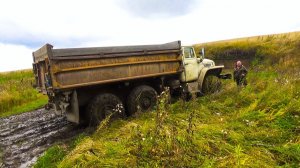 Выдираем Уралом березу с дороги, опять дождь не дает работать. Продолжаем убирать пшеницу.