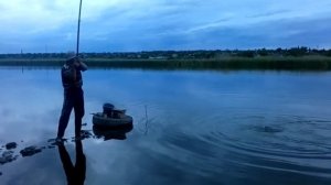 Как я поймал карпа на отварной картофель