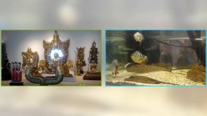 Светлогорск военный санаторий май 2018 года