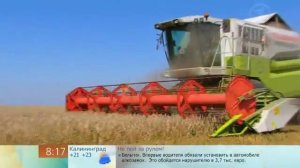 Как убирают хлеб?