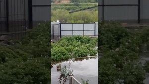 Потоп в Чите пос.Антипиха
