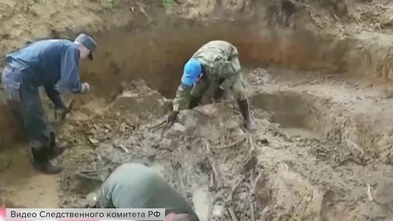 В Ленинградской области обнаружены захоронения мирных граждан, погибших от рук нацистов