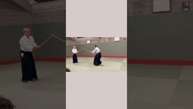 katana (boken) interaction #aikido #martialarts #katana#dojo