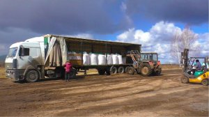 В колхозе скучно не бывает