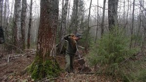 Нашёл хорошее место для шурфа #359