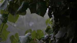 Засыпайте менее чем за 3 минуты под звук дождя и грома