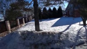 ОХОТА НА КУРОПАТКУ на СИЛКИ#ЛОВЛЮ КУРОПАТОК У ДОМА.