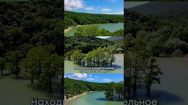 ОТДЫХАЕМ В КРАСНОДАРСКОМ КРАЕ #переезд #курорты2023 #отдых2023
