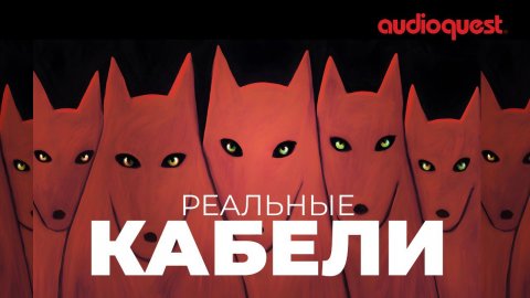 Обзор новинок Audioquest | Что нового у лидирующего производителя кабелей класса Hi-Fi?