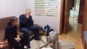 Как научить ребенка делать мостик стоя 5 лет