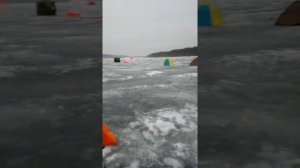 На рыбалке Белгородское водохранилище январь 2021года