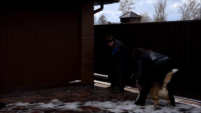 САО Панда Сулим Барра 2 занятие по защите смотреть онлайн