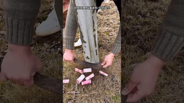 где растет это дерево?