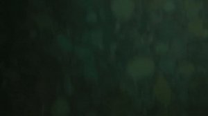 Речной сплав до Берна. Aare river.