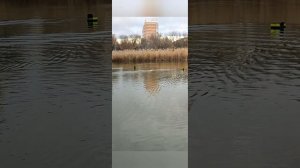 Прикормочный кораблик Легенда Пандора.